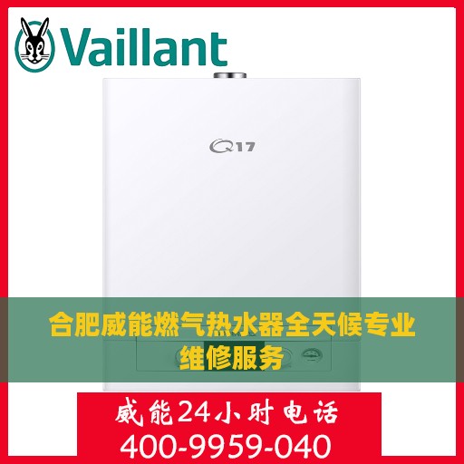 合肥威能燃气热水器全天候专业维修服务