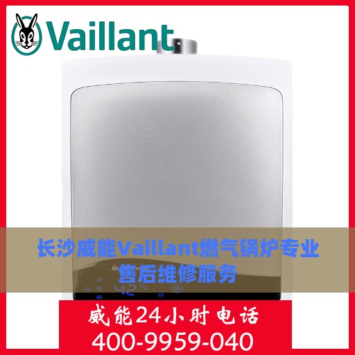 长沙威能Vaillant燃气锅炉专业售后维修服务
