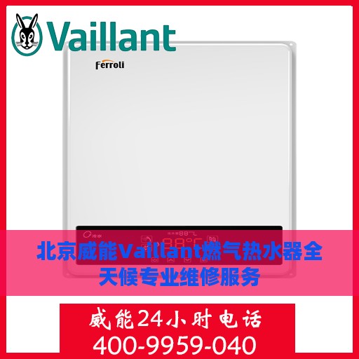 北京威能Vaillant燃气热水器全天候专业维修服务