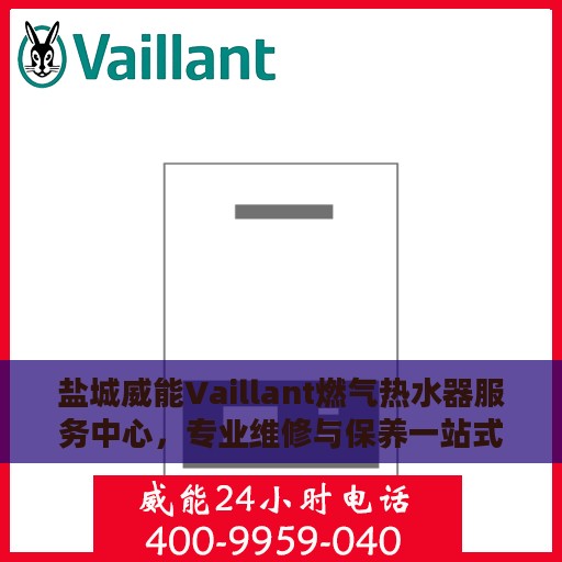 盐城威能Vaillant燃气热水器服务中心，专业维修与保养一站式解决