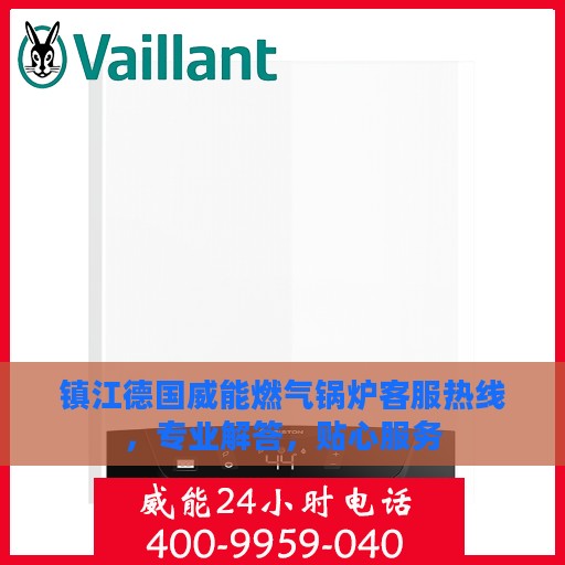 镇江德国威能燃气锅炉客服热线，专业解答，贴心服务