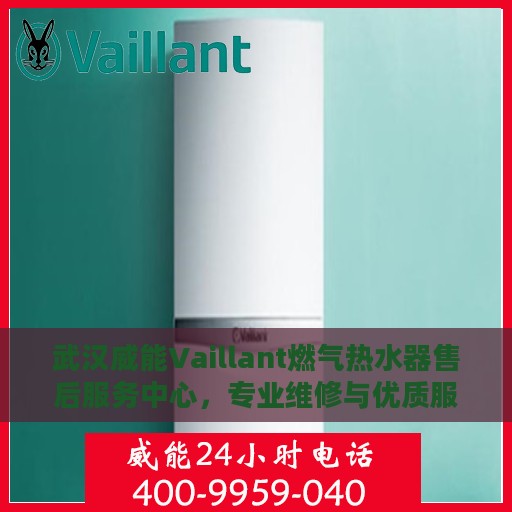 武汉威能Vaillant燃气热水器售后服务中心，专业维修与优质服务并行