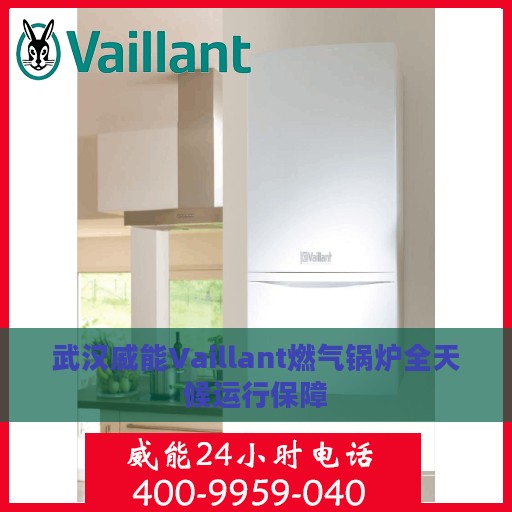 武汉威能Vaillant燃气锅炉全天候运行保障