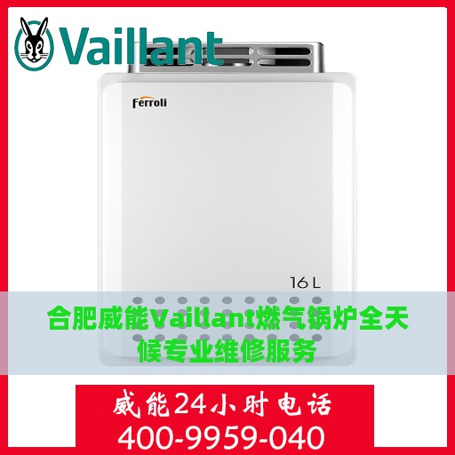 合肥威能Vaillant燃气锅炉全天候专业维修服务