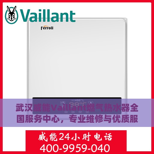 武汉威能Vaillant燃气热水器全国服务中心，专业维修与优质服务并行