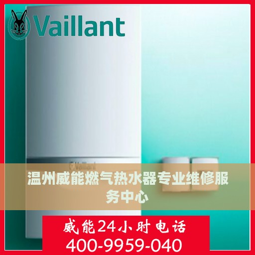 温州威能燃气热水器专业维修服务中心