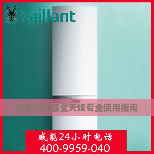 威能热水器全天候专业使用指南