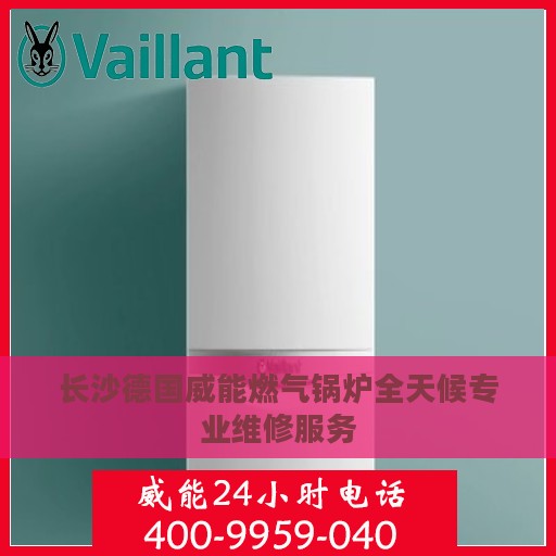 长沙德国威能燃气锅炉全天候专业维修服务