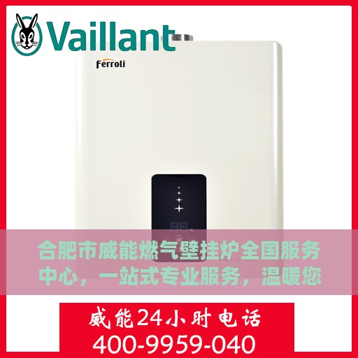 合肥市威能燃气壁挂炉全国服务中心，一站式专业服务，温暖您的家！