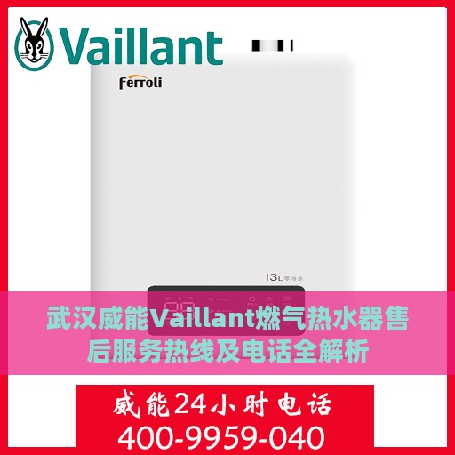 武汉威能Vaillant燃气热水器售后服务热线及电话全解析