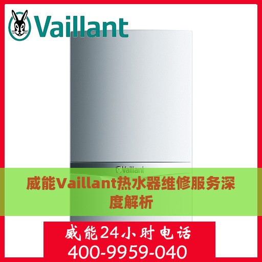 威能Vaillant热水器维修服务深度解析