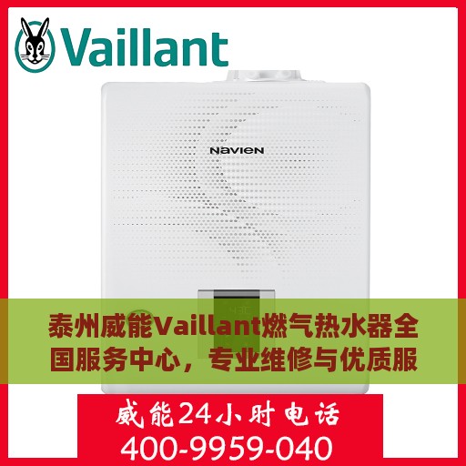 泰州威能Vaillant燃气热水器全国服务中心，专业维修与优质服务并行