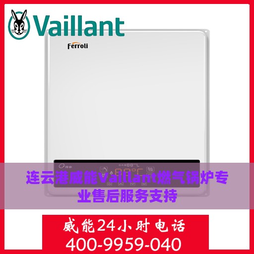 连云港威能Vaillant燃气锅炉专业售后服务支持
