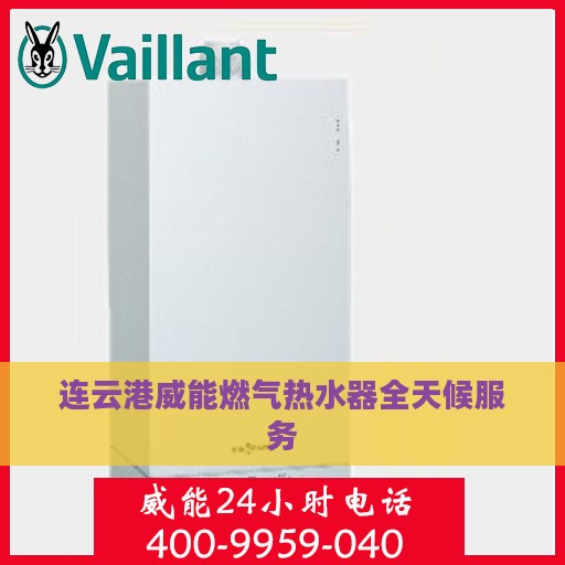 连云港威能燃气热水器全天候服务