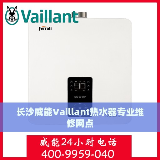 长沙威能Vaillant热水器专业维修网点