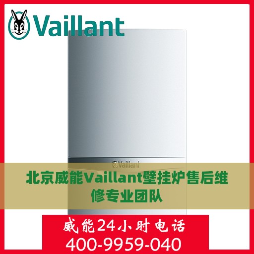 北京威能Vaillant壁挂炉售后维修专业团队