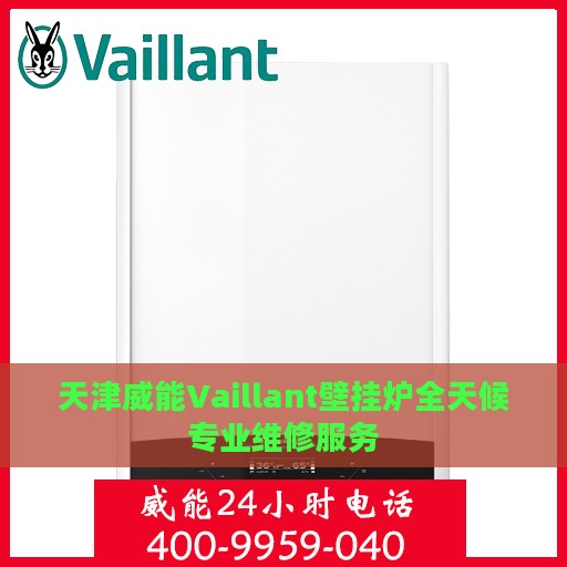 天津威能Vaillant壁挂炉全天候专业维修服务
