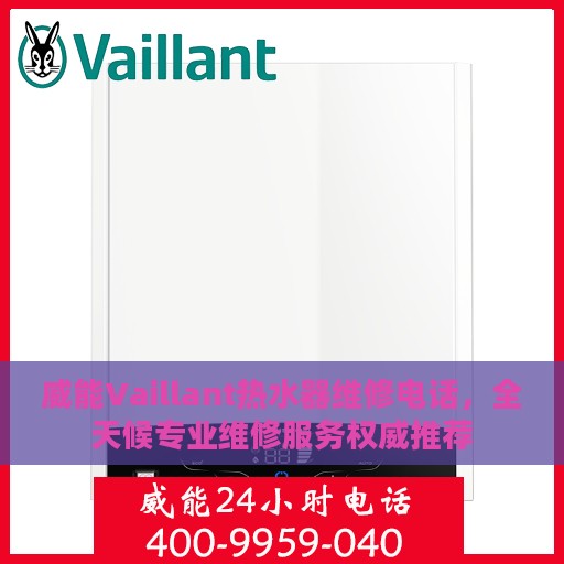 威能Vaillant热水器维修电话，全天候专业维修服务权威推荐
