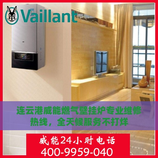 连云港威能燃气壁挂炉专业维修热线，全天候服务不打烊