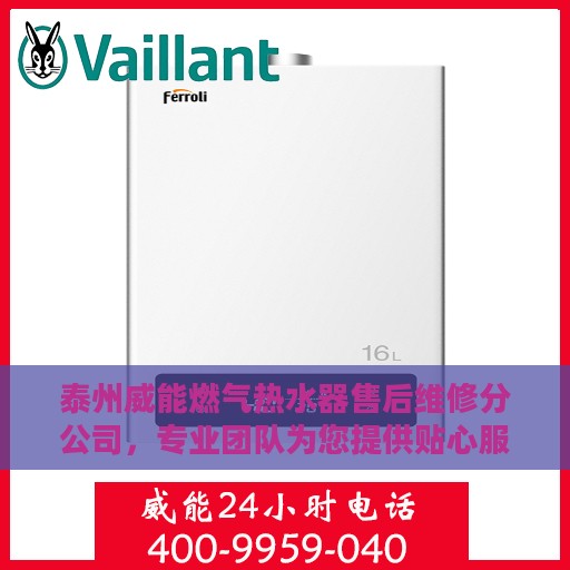 泰州威能燃气热水器售后维修分公司，专业团队为您提供贴心服务