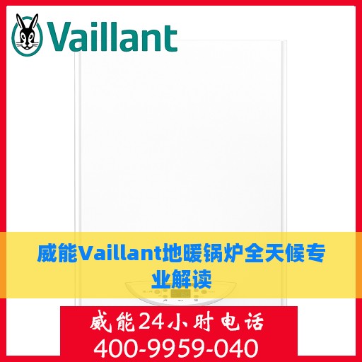 威能Vaillant地暖锅炉全天候专业解读