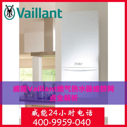 威能Vaillant燃气热水器维修网点全解析