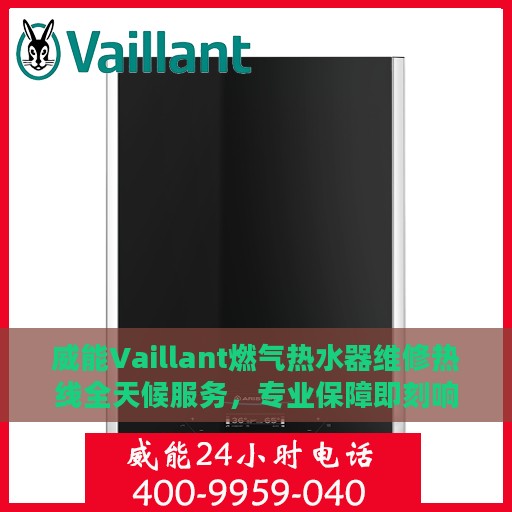 威能Vaillant燃气热水器维修热线全天候服务，专业保障即刻响应