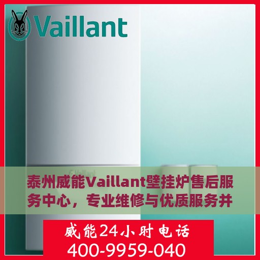 泰州威能Vaillant壁挂炉售后服务中心，专业维修与优质服务并行