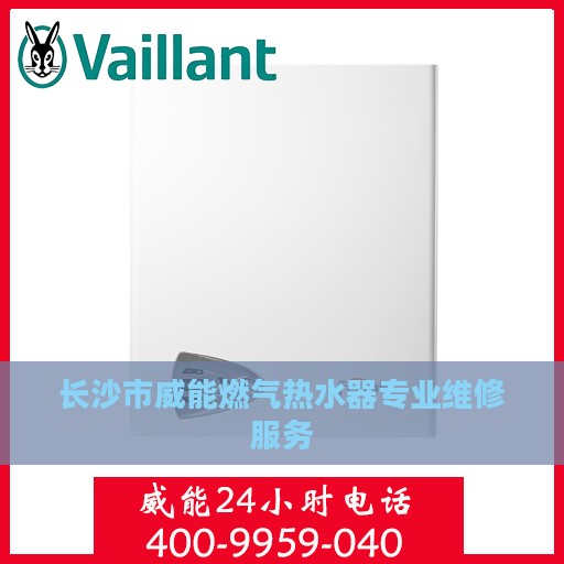长沙市威能燃气热水器专业维修服务