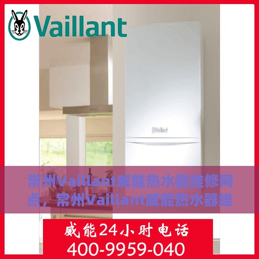 常州Vaillant威能热水器维修网点，常州Vaillant威能热水器维修网点，专业维修服务与解决方案