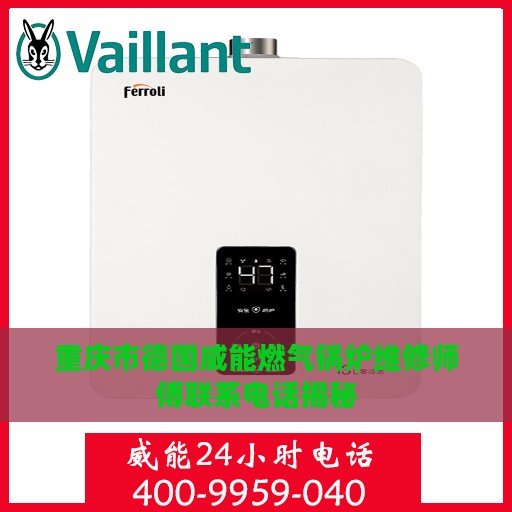 重庆市德国威能燃气锅炉维修师傅联系电话揭秘