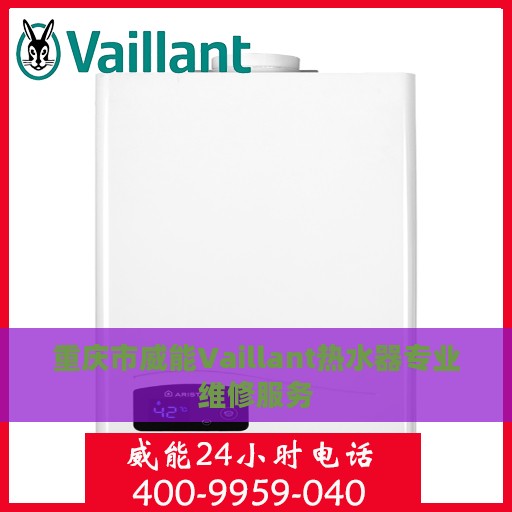 重庆市威能Vaillant热水器专业维修服务