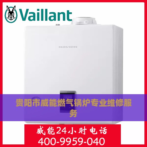 贵阳市威能燃气锅炉专业维修服务