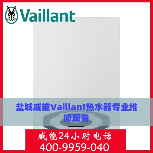 盐城威能Vaillant热水器专业维修服务