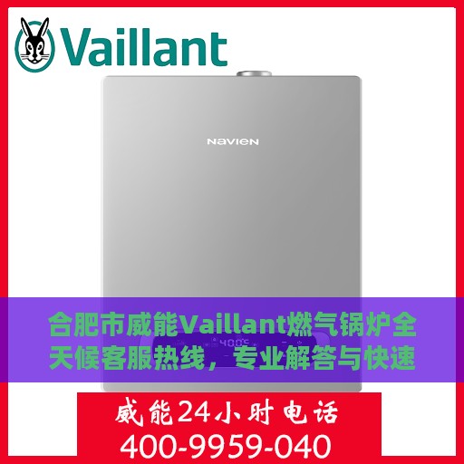 合肥市威能Vaillant燃气锅炉全天候客服热线，专业解答与快速服务保障