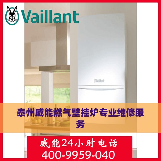 泰州威能燃气壁挂炉专业维修服务
