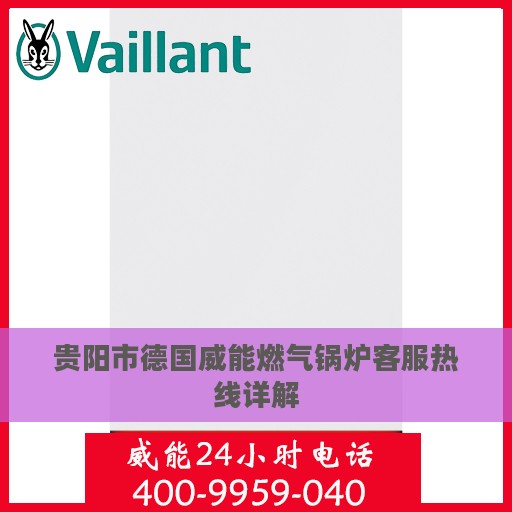贵阳市德国威能燃气锅炉客服热线详解