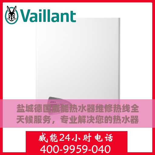 盐城德国威能热水器维修热线全天候服务，专业解决您的热水器问题