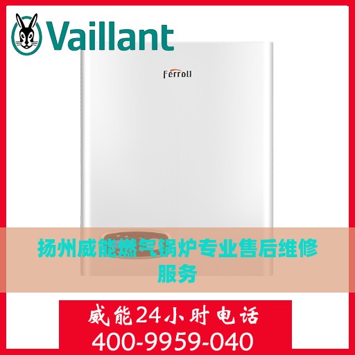 扬州威能燃气锅炉专业售后维修服务