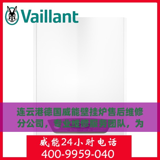 连云港德国威能壁挂炉售后维修分公司，专业维修服务团队，为您的温暖保驾护航