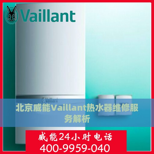 北京威能Vaillant热水器维修服务解析