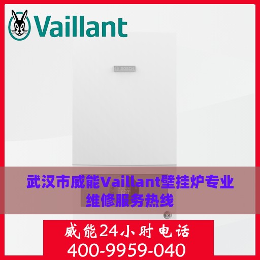 武汉市威能Vaillant壁挂炉专业维修服务热线