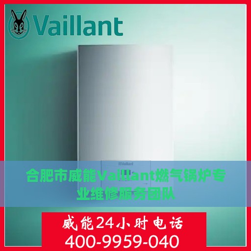 合肥市威能Vaillant燃气锅炉专业维修服务团队