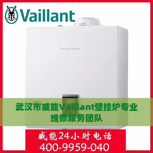 武汉市威能Vaillant壁挂炉专业维修服务团队