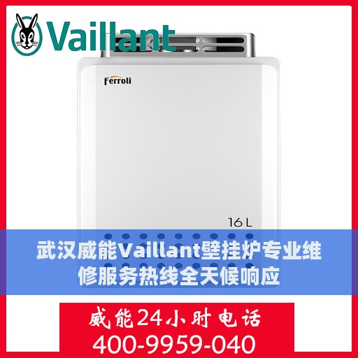 武汉威能Vaillant壁挂炉专业维修服务热线全天候响应