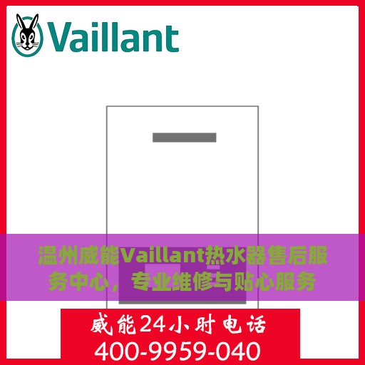 温州威能Vaillant热水器售后服务中心，专业维修与贴心服务