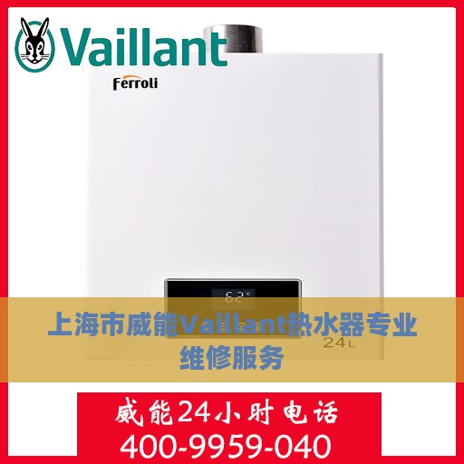上海市威能Vaillant热水器专业维修服务