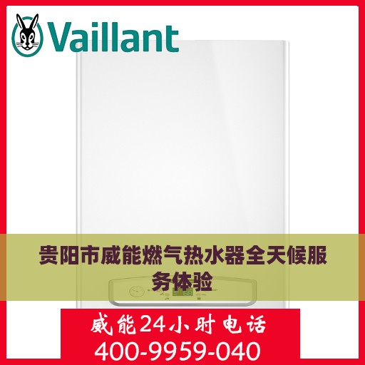 贵阳市威能燃气热水器全天候服务体验