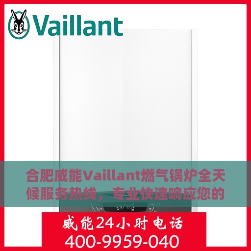 合肥威能Vaillant燃气锅炉全天候服务热线，专业快速响应您的需求