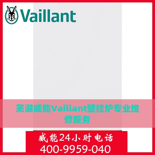芜湖威能Vaillant壁挂炉专业维修服务